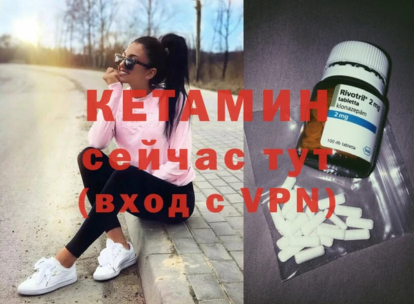 крисы Алексин